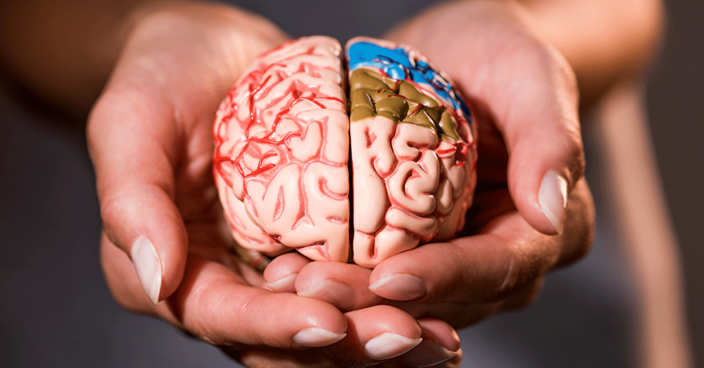 Mãos segurando um cérebro para representar o cuidado com a saúde mental com um psiquiatra e neurologista
