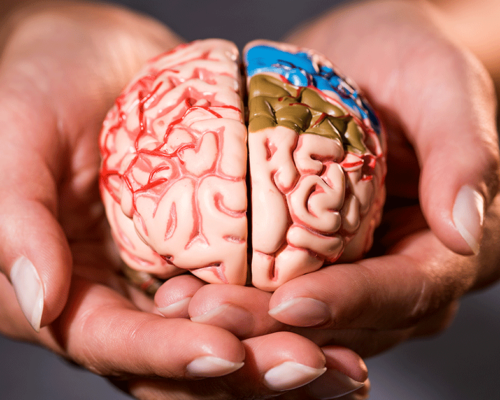 Qual a diferença entre o Psiquiatra e o Neurologista?